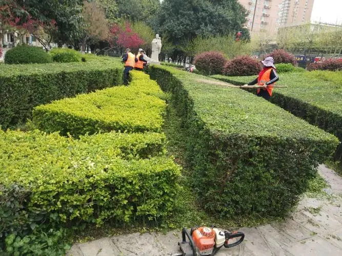 江油城市绿化的作用