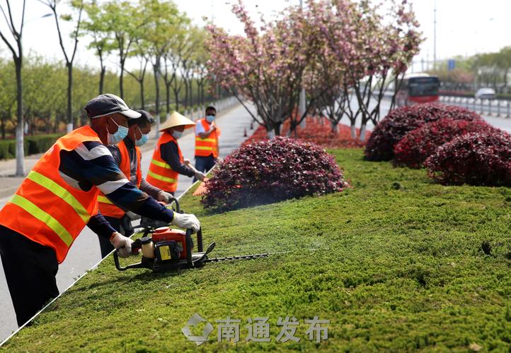 应城旧房改造绿化工程