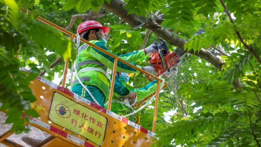 昌平园林绿化工程报价明细