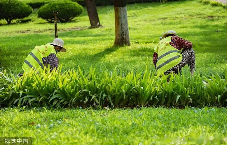 福建柘荣：一把剪刀“剪”出新天地
